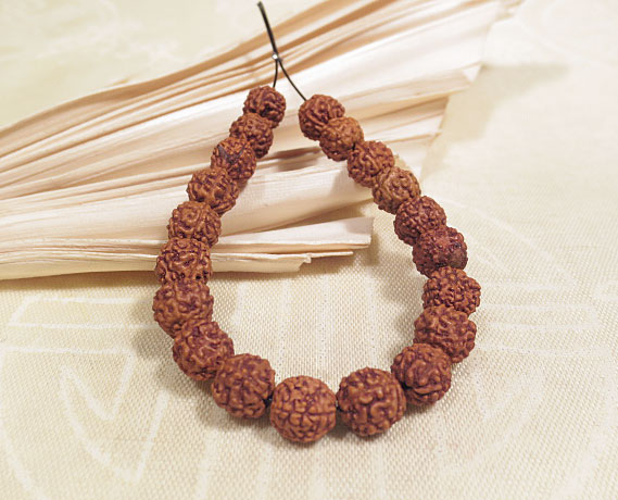 20 Original Rudraksha Perlen 7mm Shivas Auge NEPAL